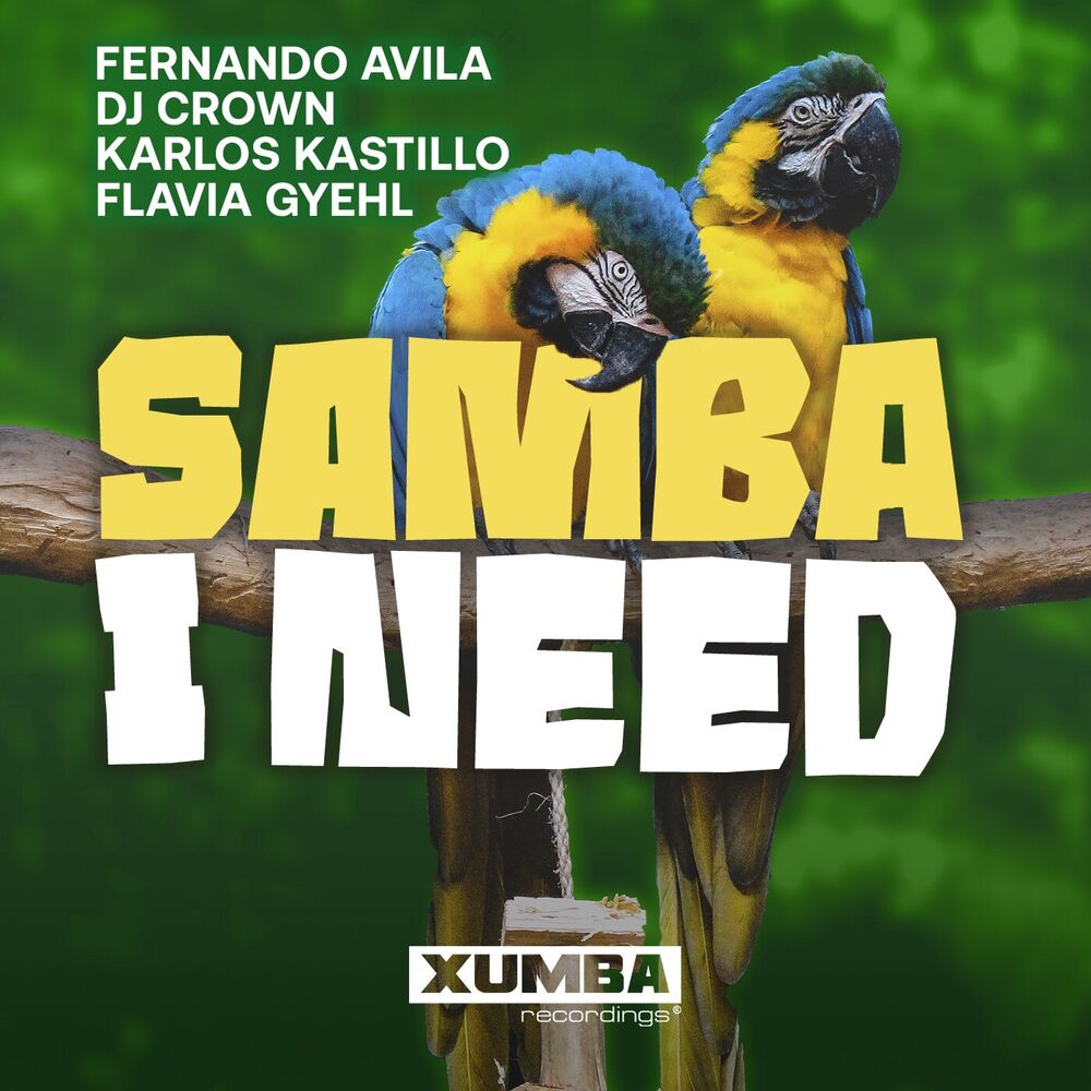 Picture of Samba I Need