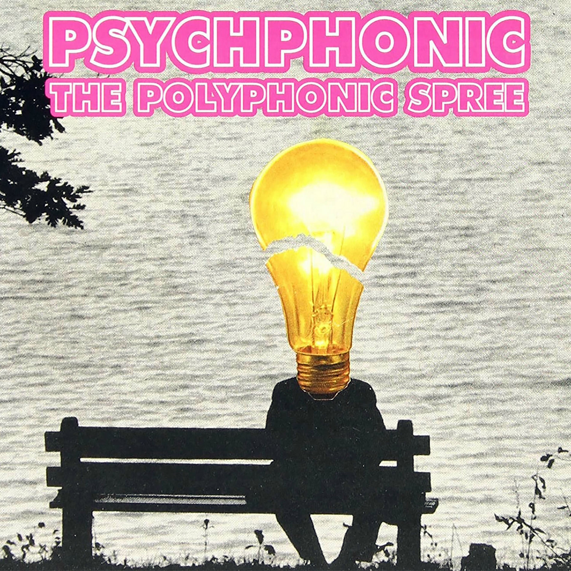 Album cover of Psychphonic
