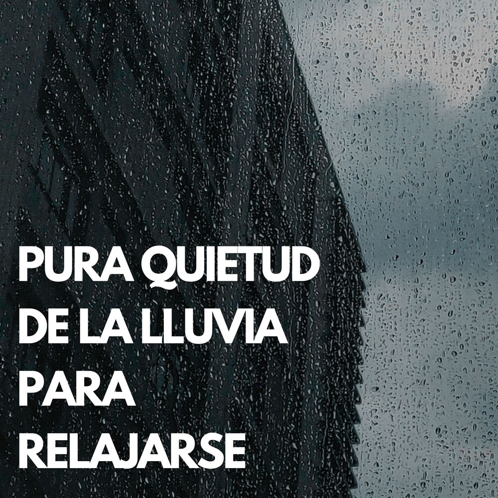 Picture of Pura Quietud De La Lluvia Para Relajarse