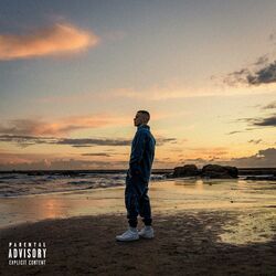 Cover of ok shawty