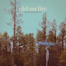 Cover of Girl On Fire