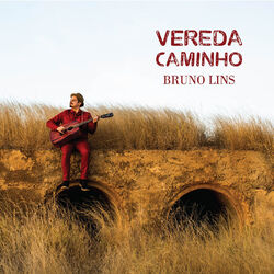 Cover of Vereda Caminho