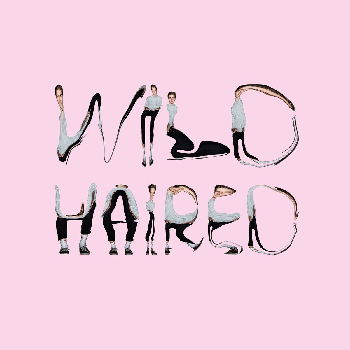 Album cover of Wild Haired