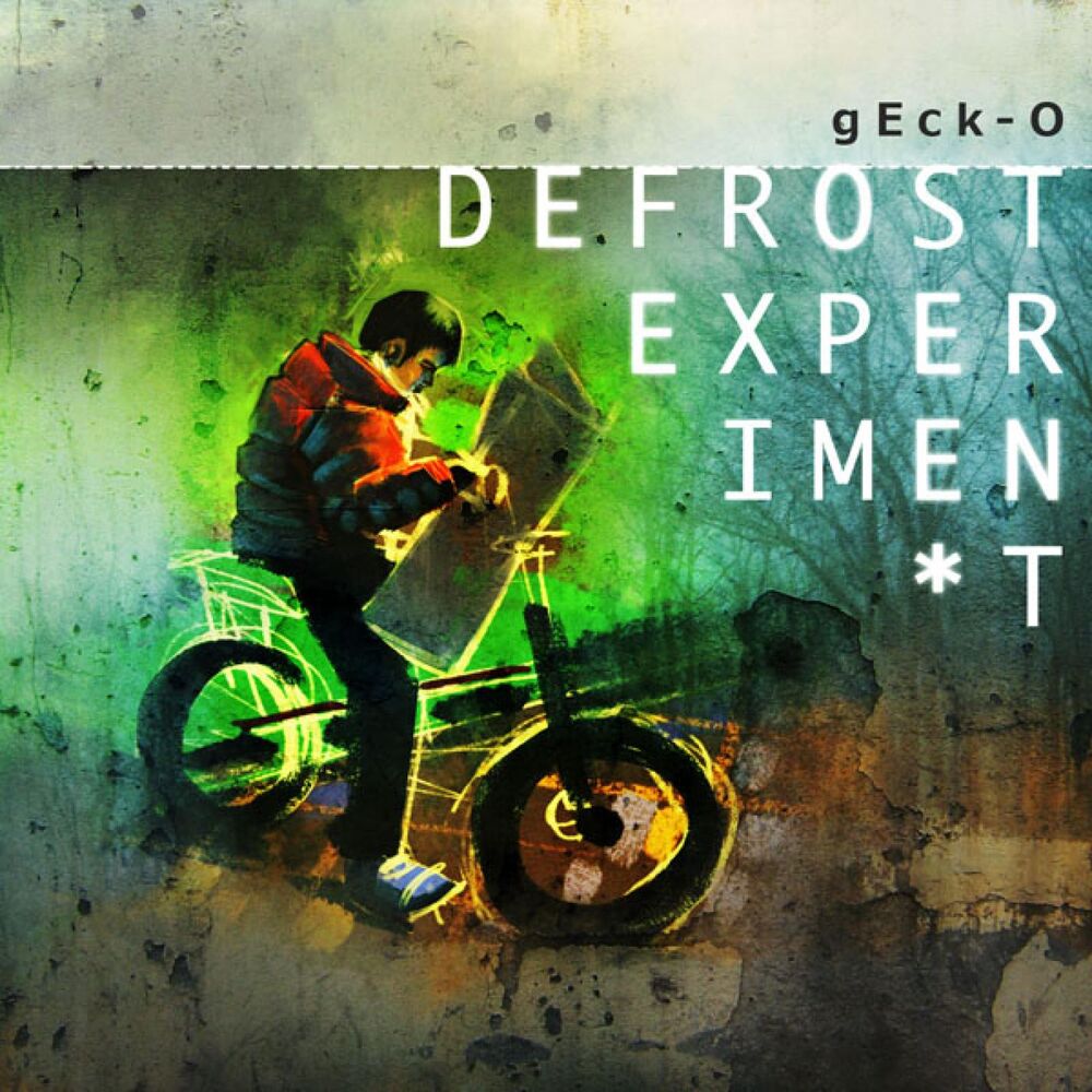 Picture of Defrost Experiment