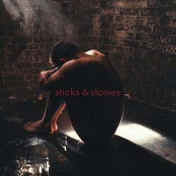 Cover of Sticks & Stones