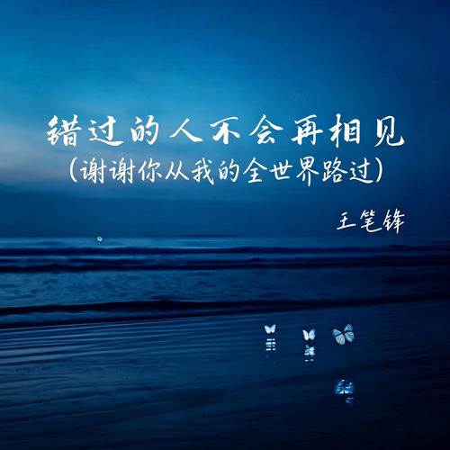 错过的人不会再相见 (谢谢你从我的全世界路过)