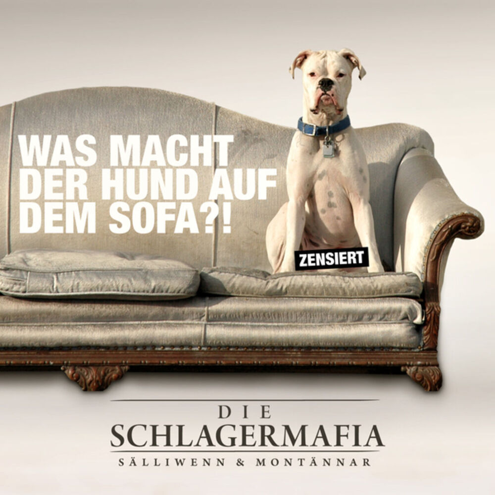 Picture of Was macht der Hund auf dem Sofa
