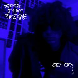Cover of Because i'm not the same