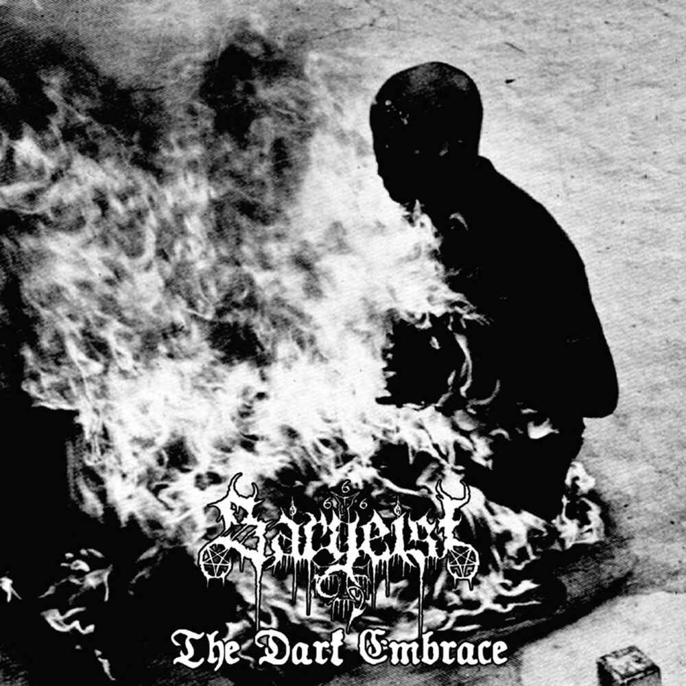 Picture of The Dark Embrace