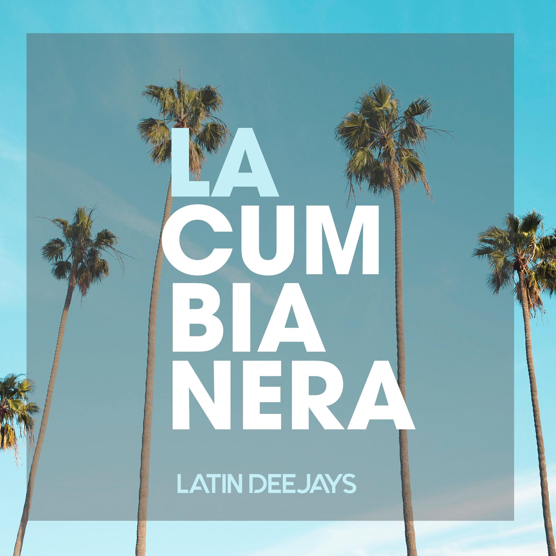 Album cover of La Cumbianera