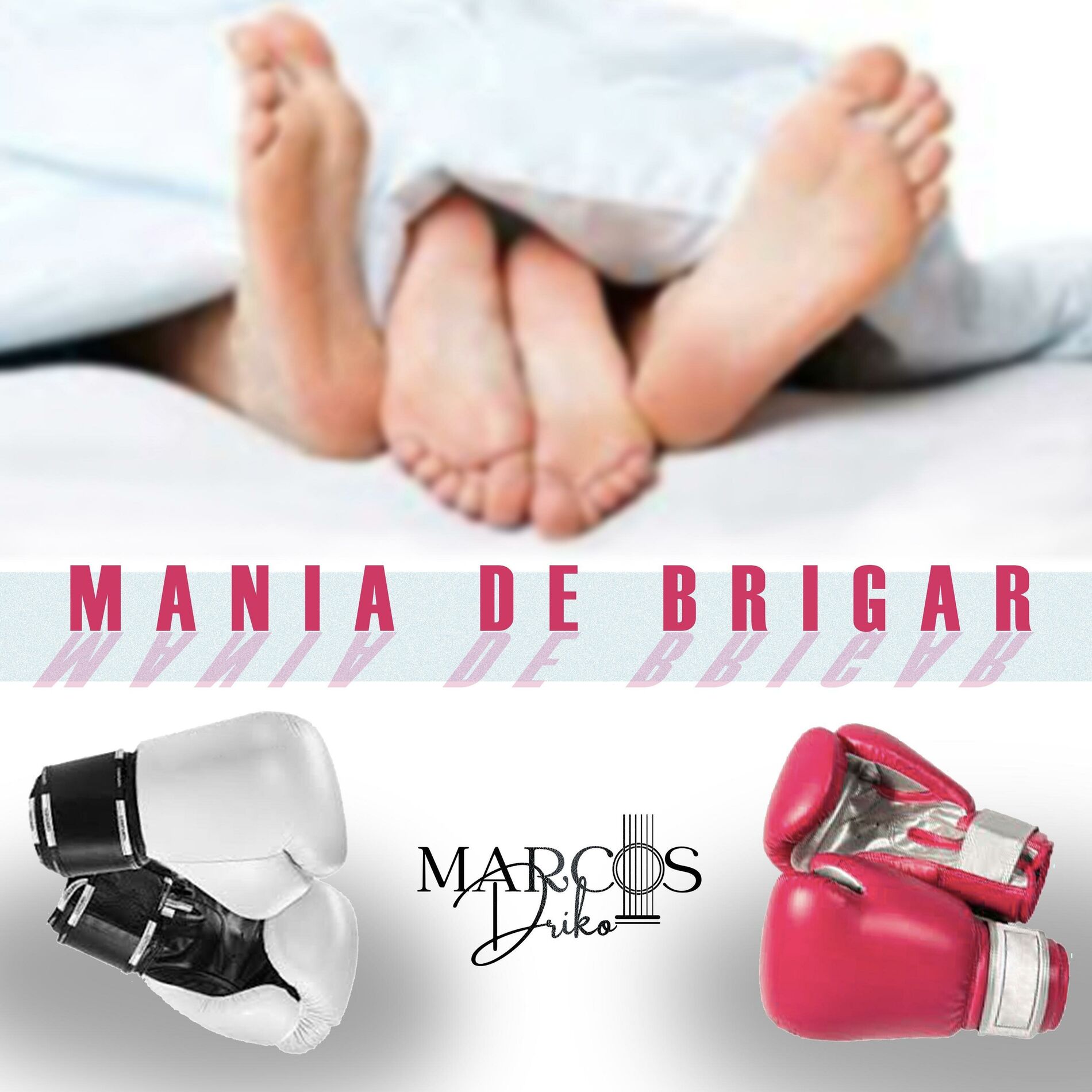 Album cover of MANIA DE BRIGAR