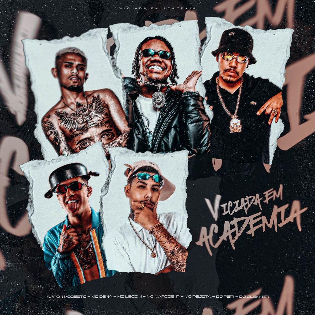 Album cover of Viciada em Academia