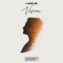Cover of Vision