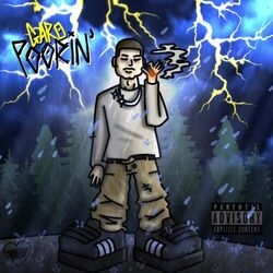 Cover of Poorin