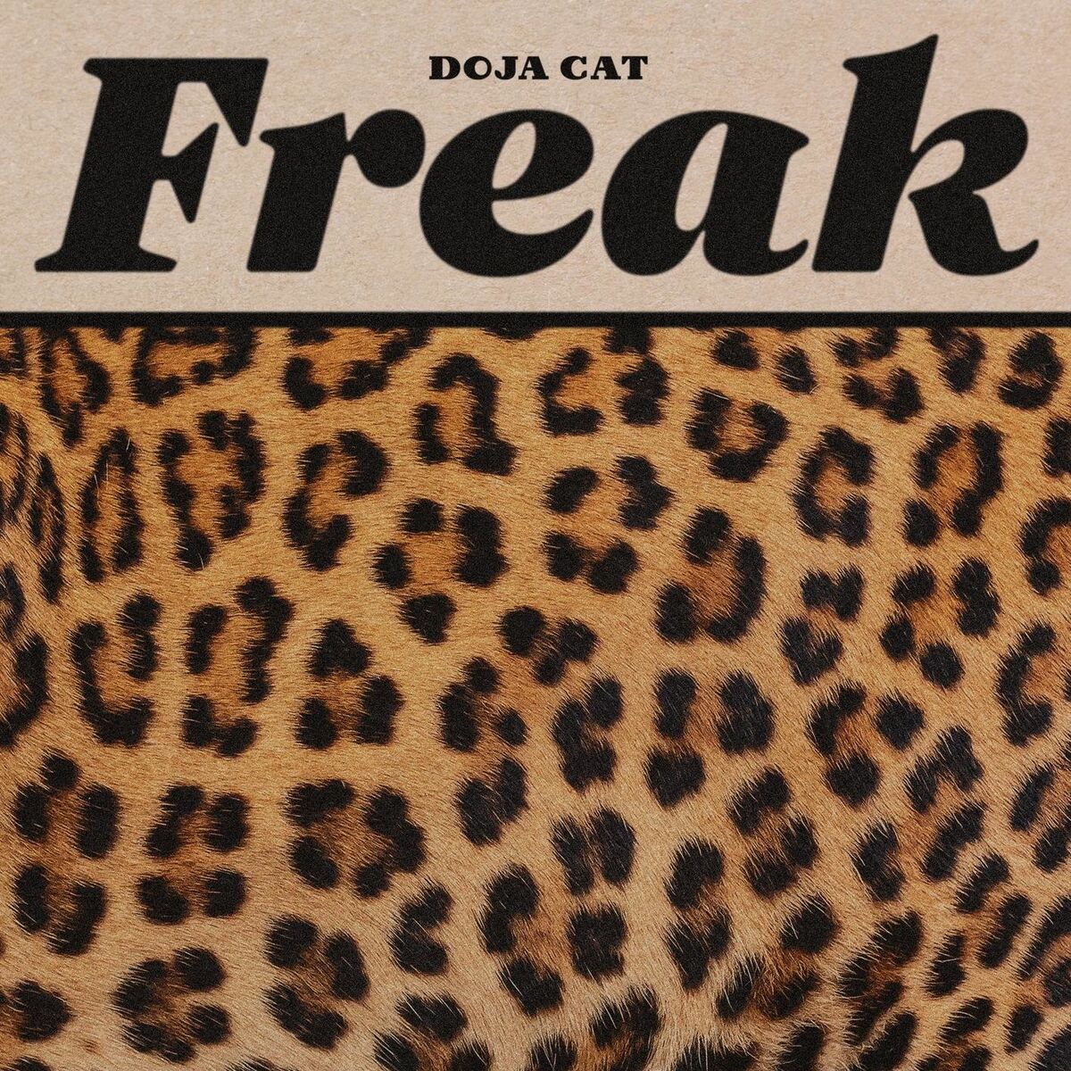 Album cover of Freak