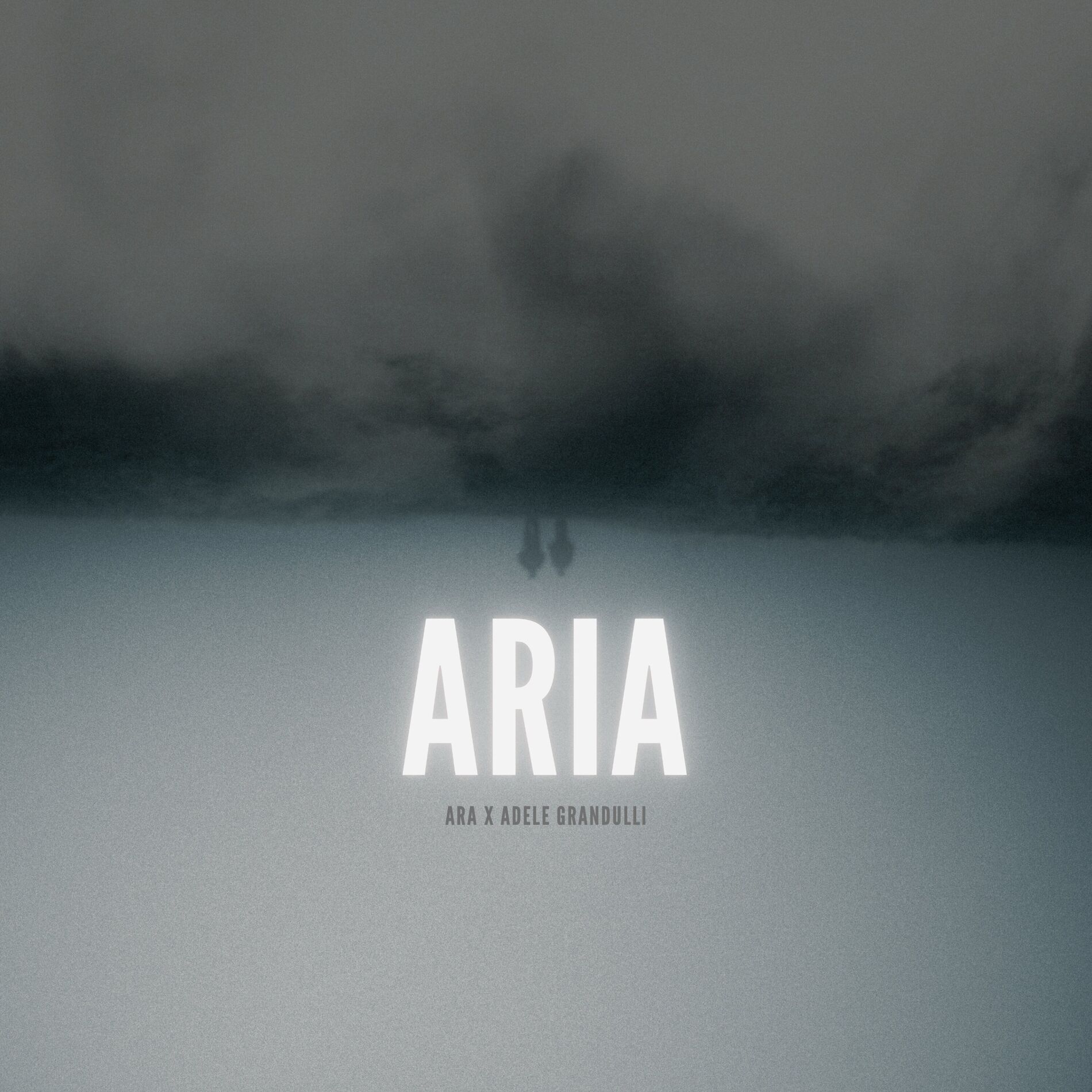 Album cover of Aria