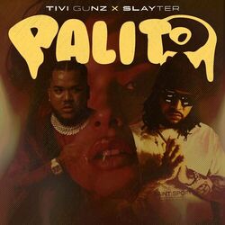 Cover of Palito