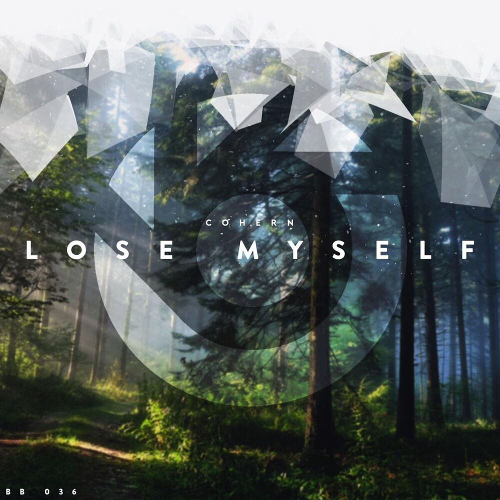 Picture of Lose Myself