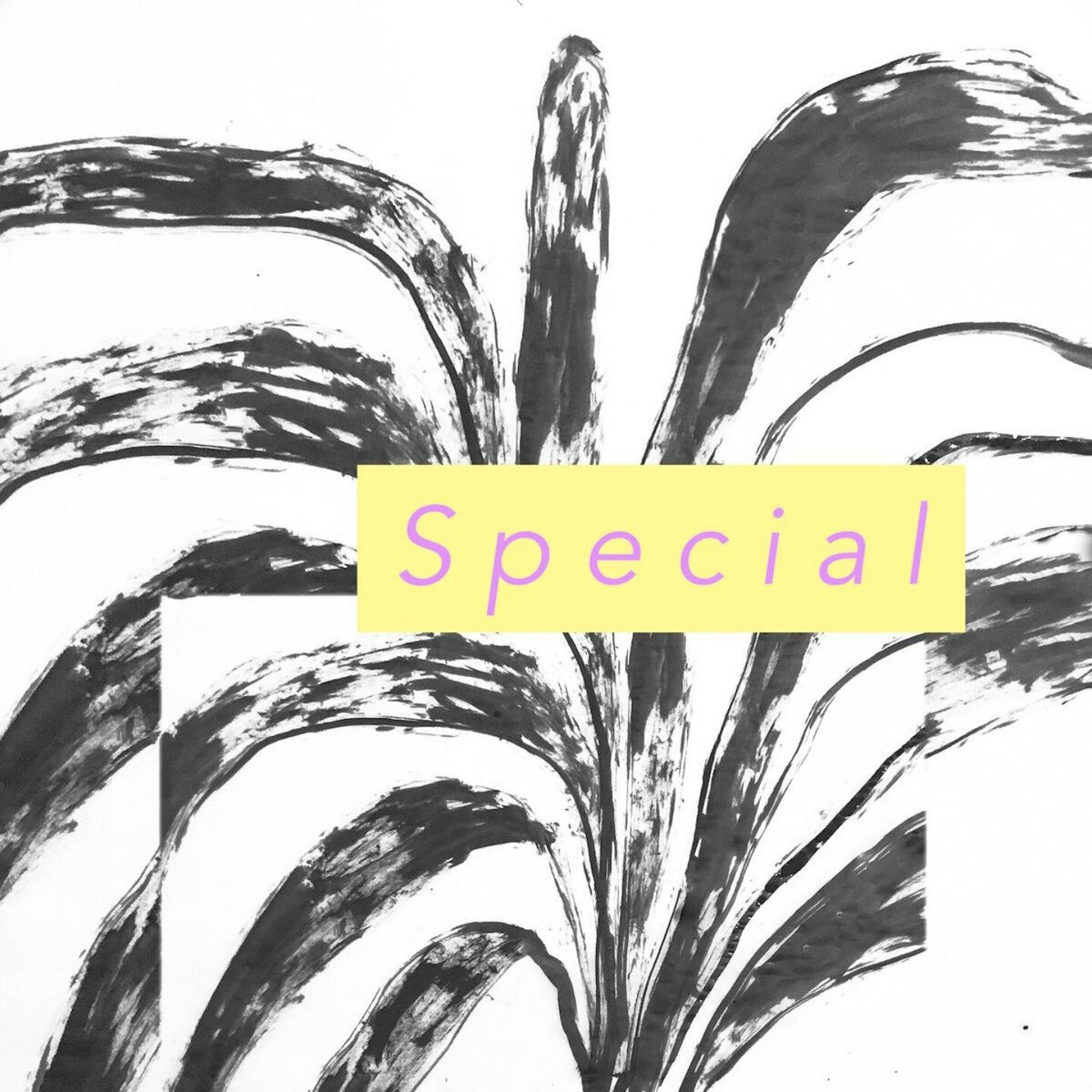 Album cover of Special