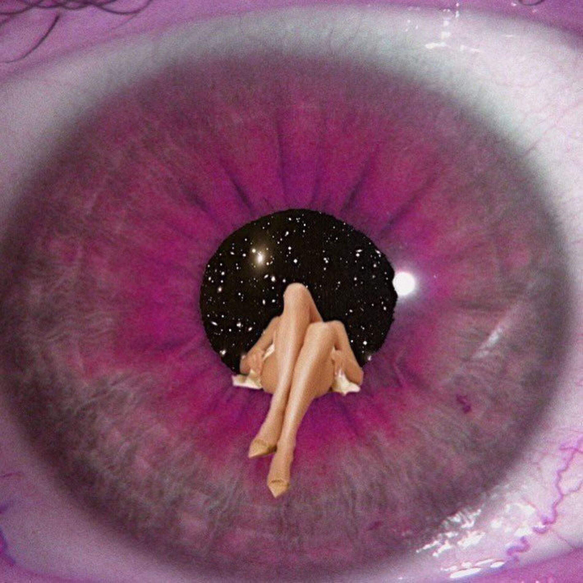 Album cover of Joyful Ascent