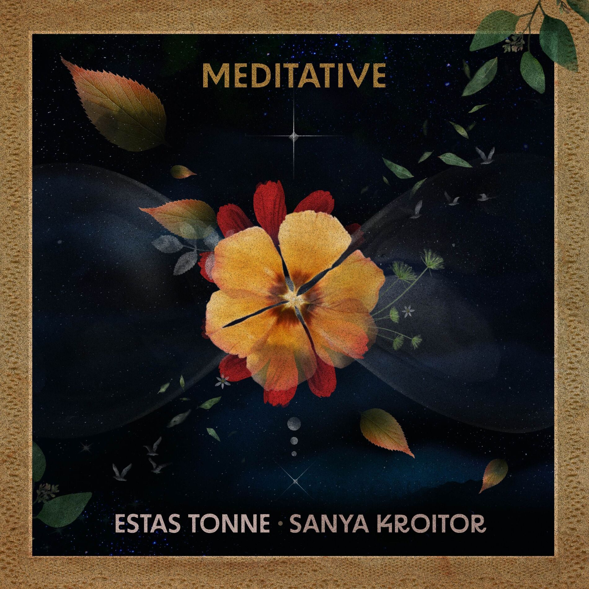 Album cover of Meditative