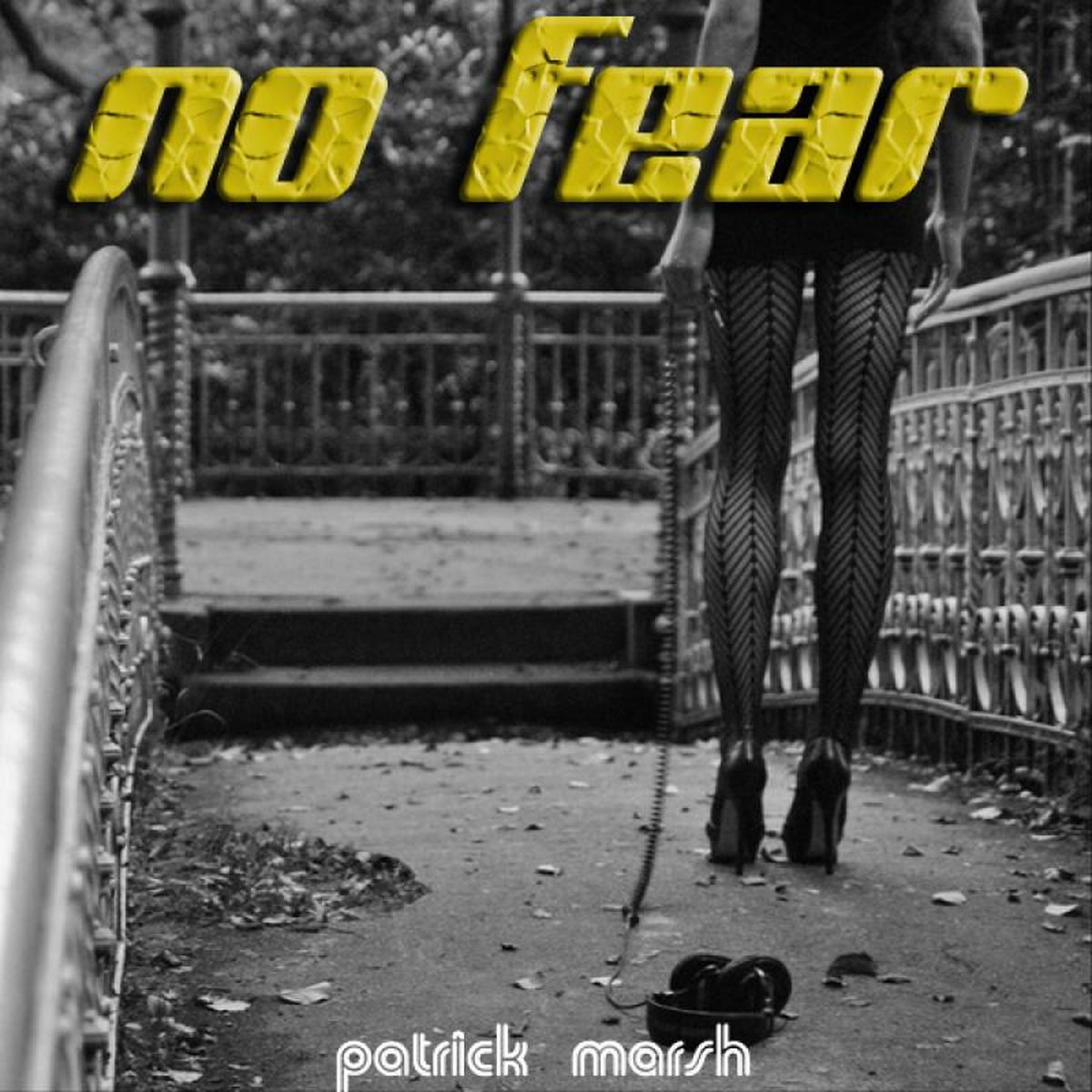 Album cover of No fear