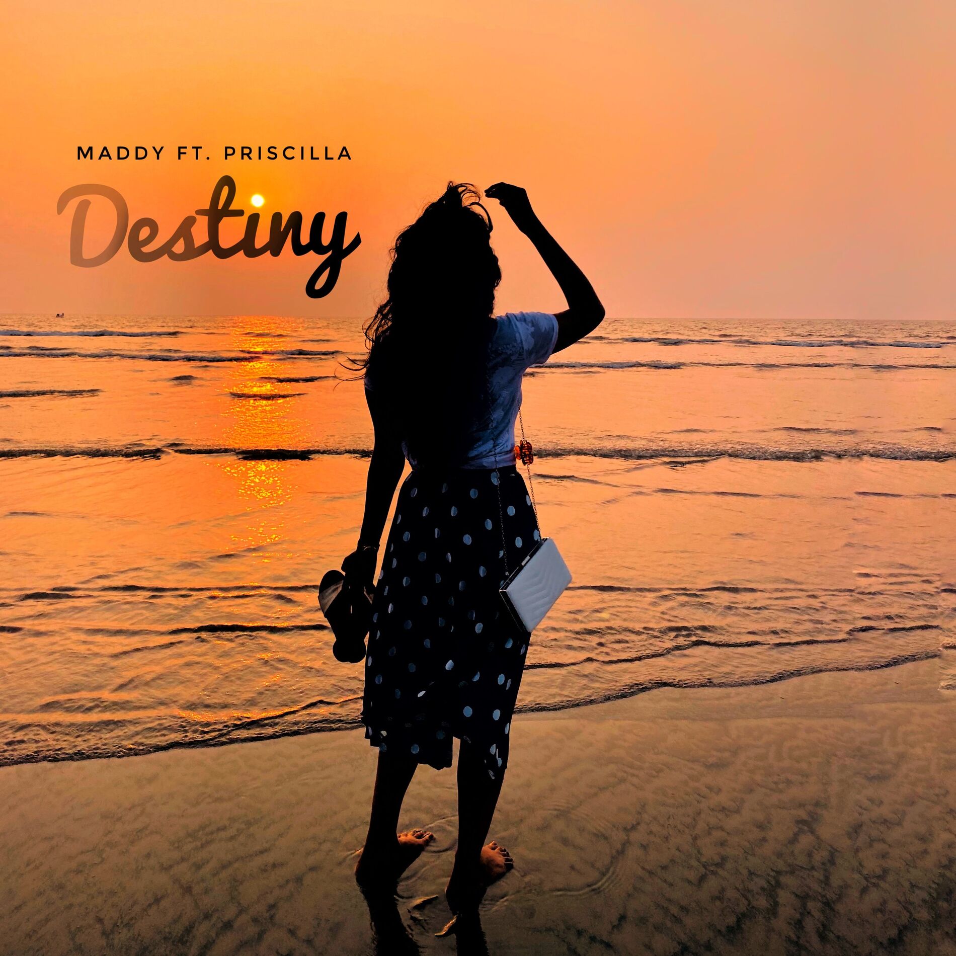 Album cover of Destiny