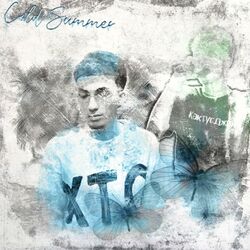 Cover of Cold Summer