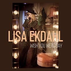 Cover of Wish You Were Gay