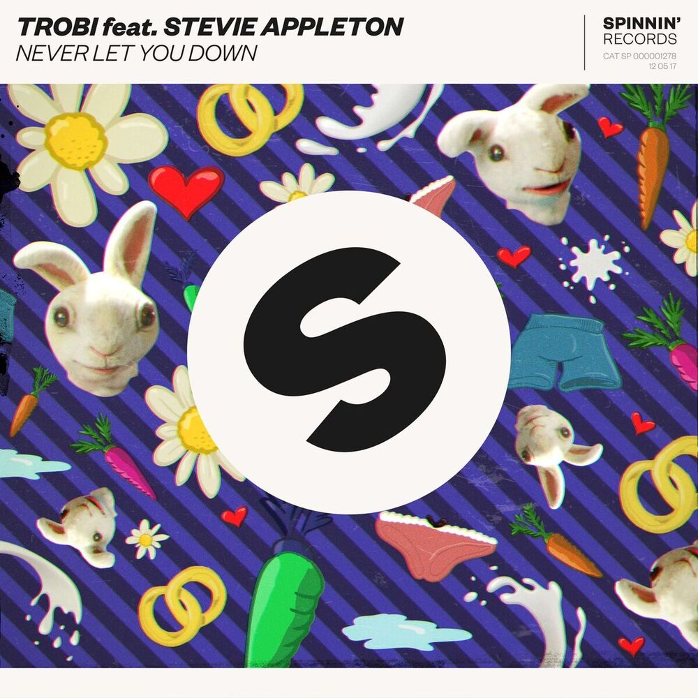 Picture of Never Let You Down (feat. Stevie Appleton)