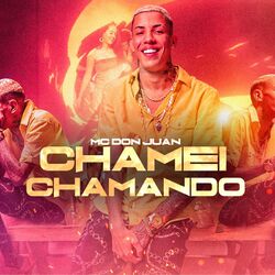 Cover of Chamei Chamando