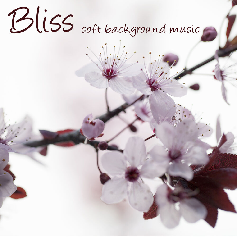 Picture of Bliss – Soft Background Music for Reiki, Zen Meditation and Devotion