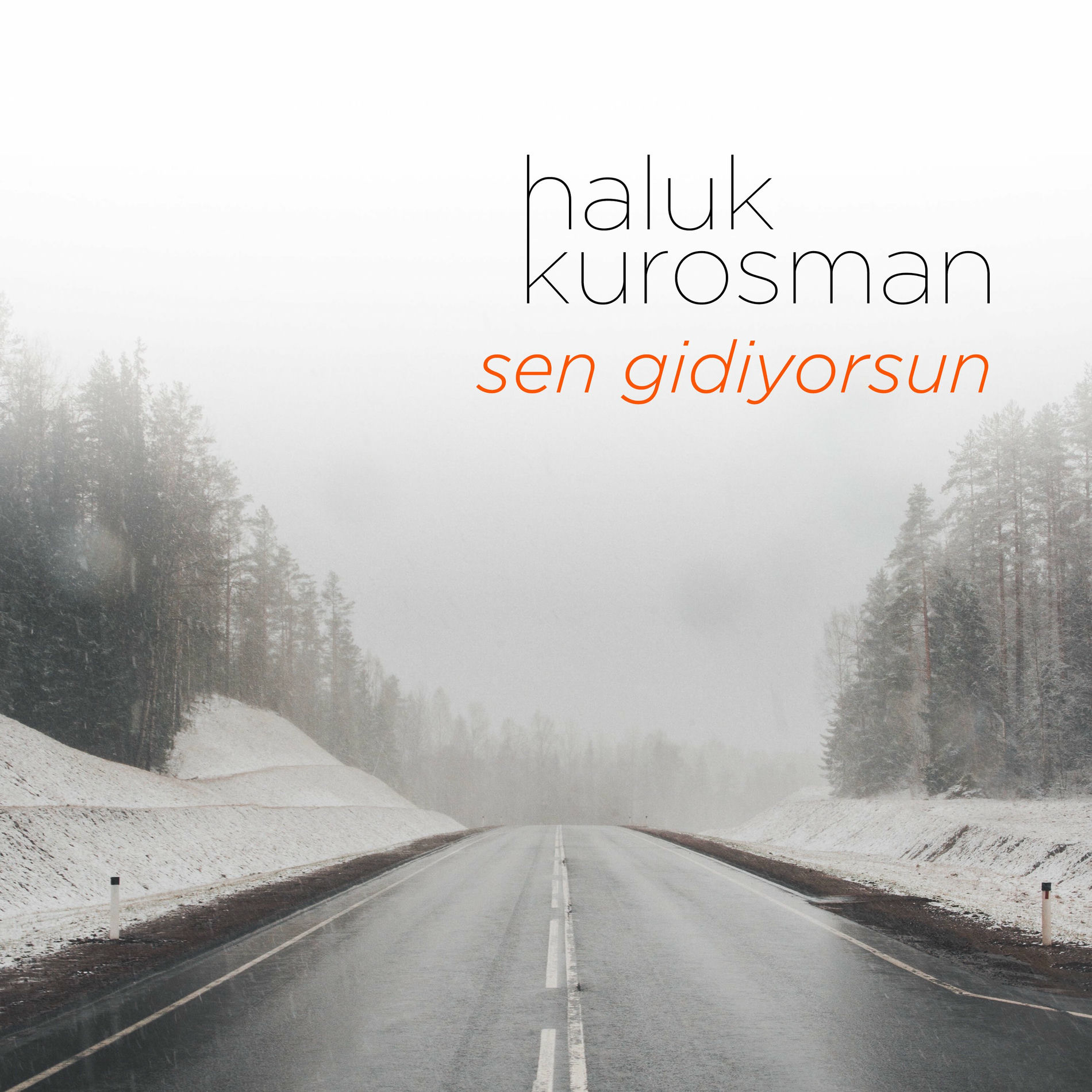 Album cover of Sen Gidiyorsun