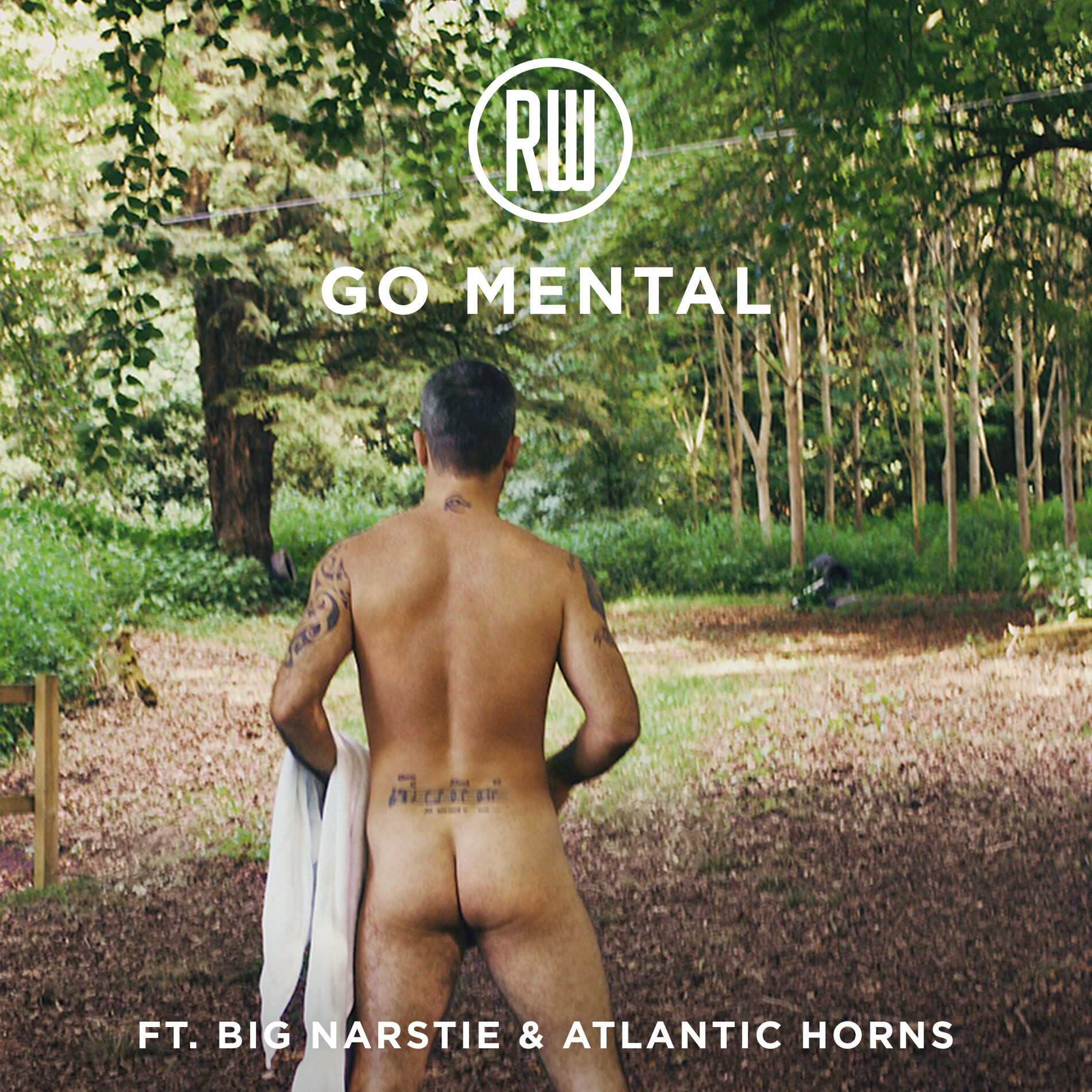 Album cover of Go Mental