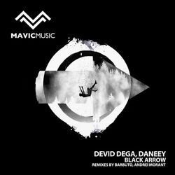 Cover of Black Arrow