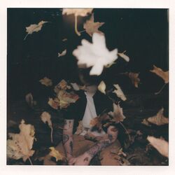 Cover of forgive me