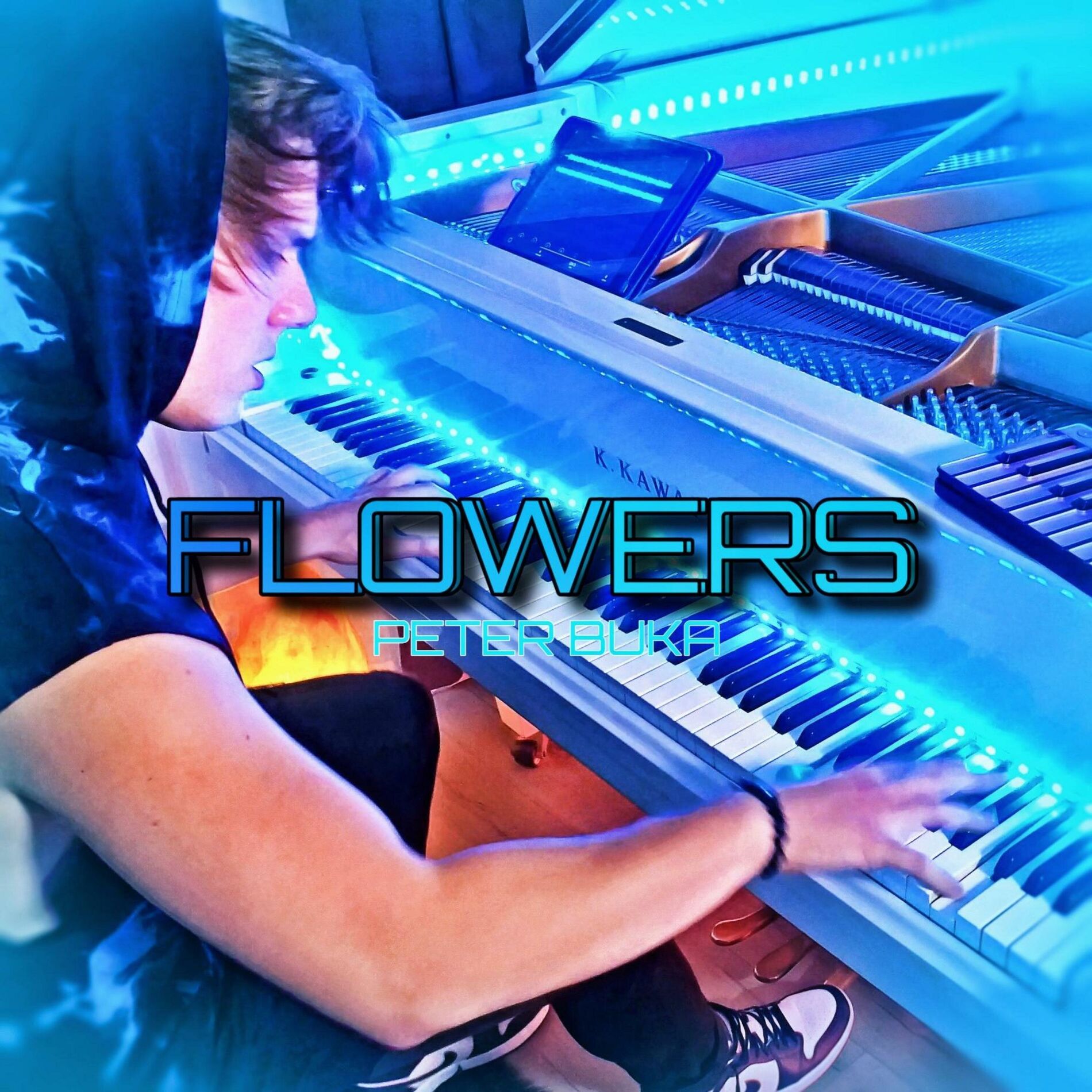 Album cover of Flowers