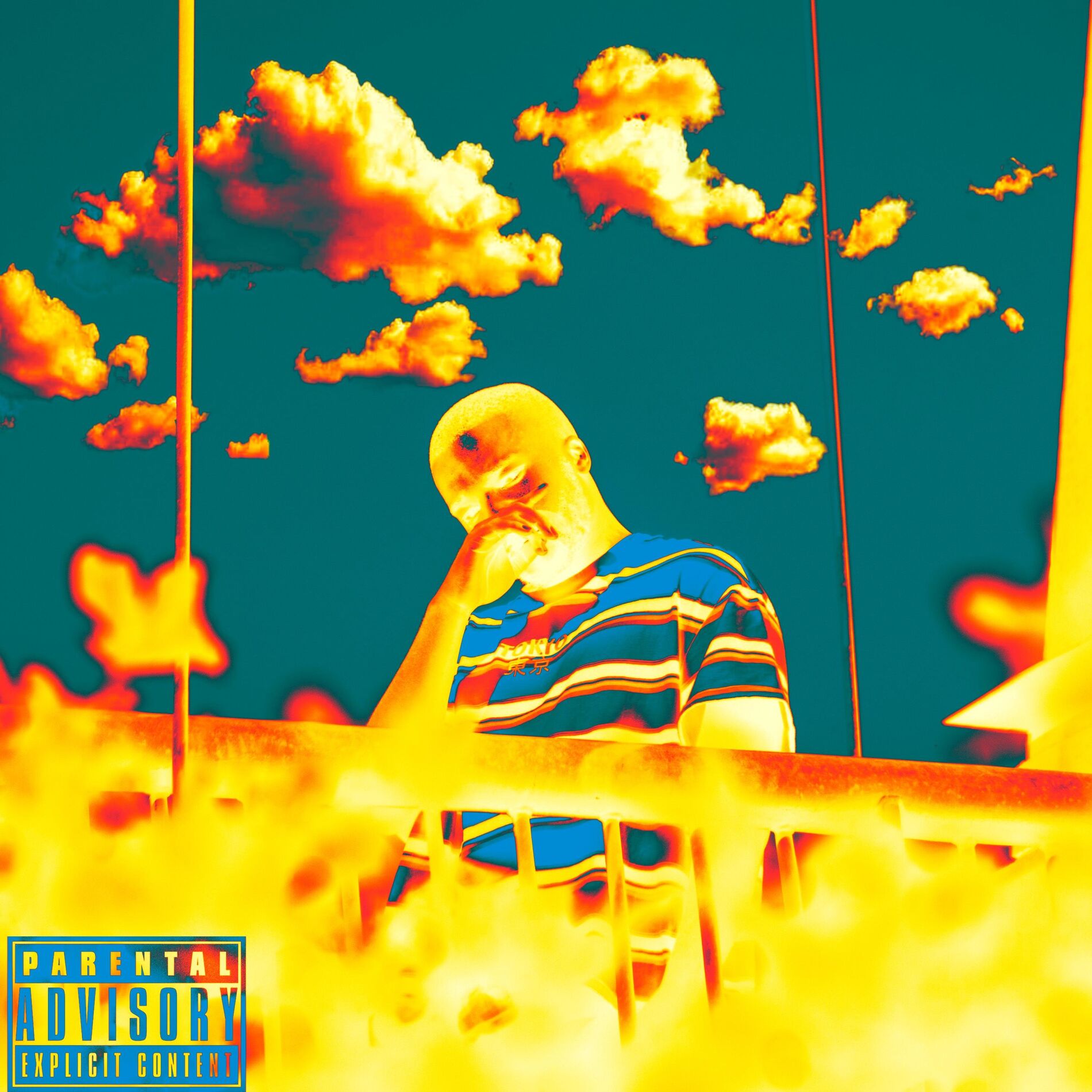Album cover of Captain Hook 2