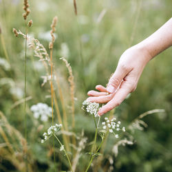 Cover of Health by undefined