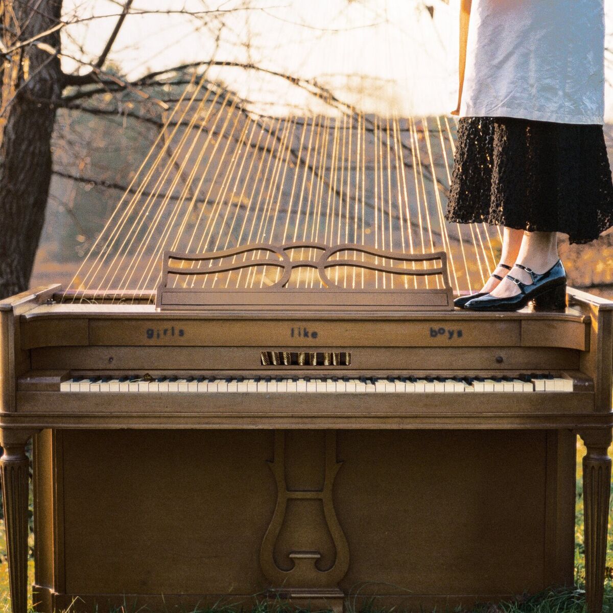Album cover of Girls Like Boys