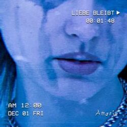 Cover of LIEBE BLEIBT