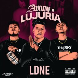 Cover of Amor Y Lujuria