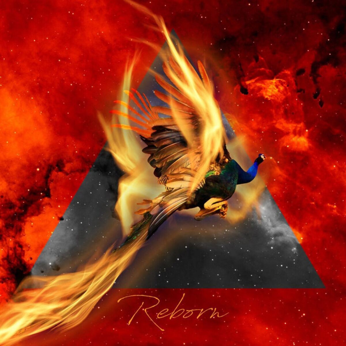 Album cover of Reborn