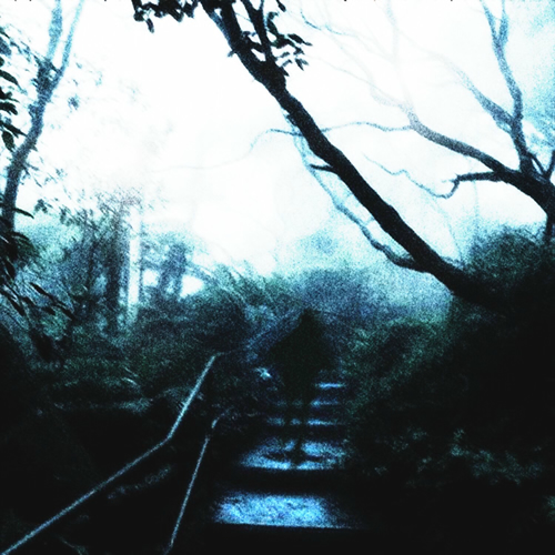 500x500.jpg