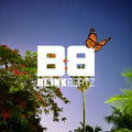The Butterfly Effect