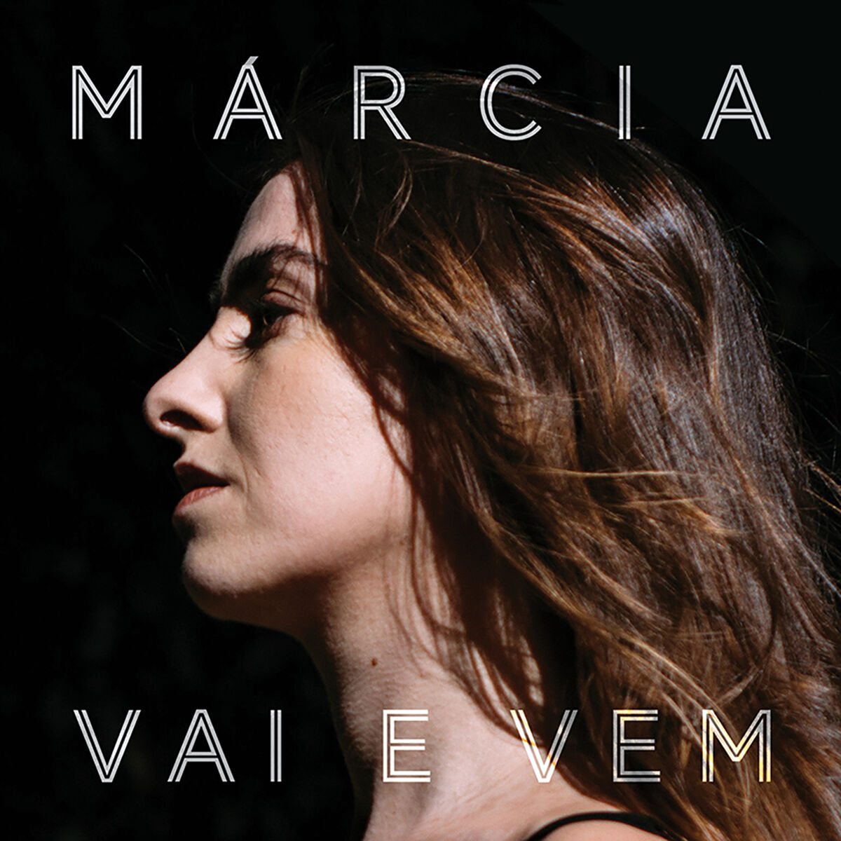 Album cover of Vai e Vem