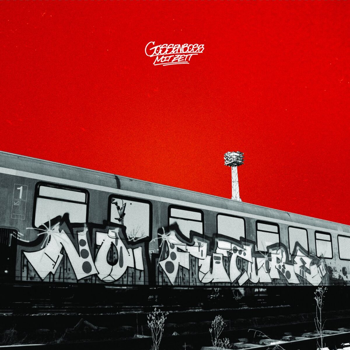 Album cover of No Future