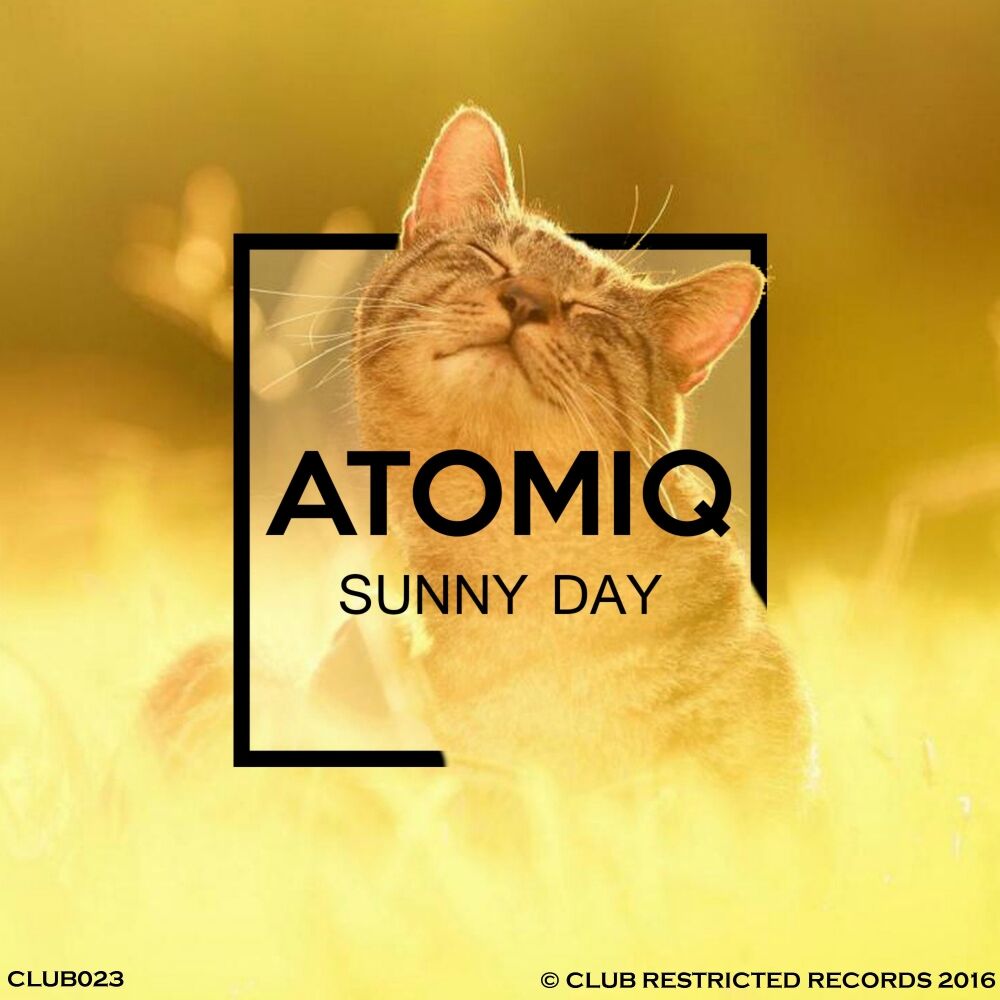 Picture of Sunny Day