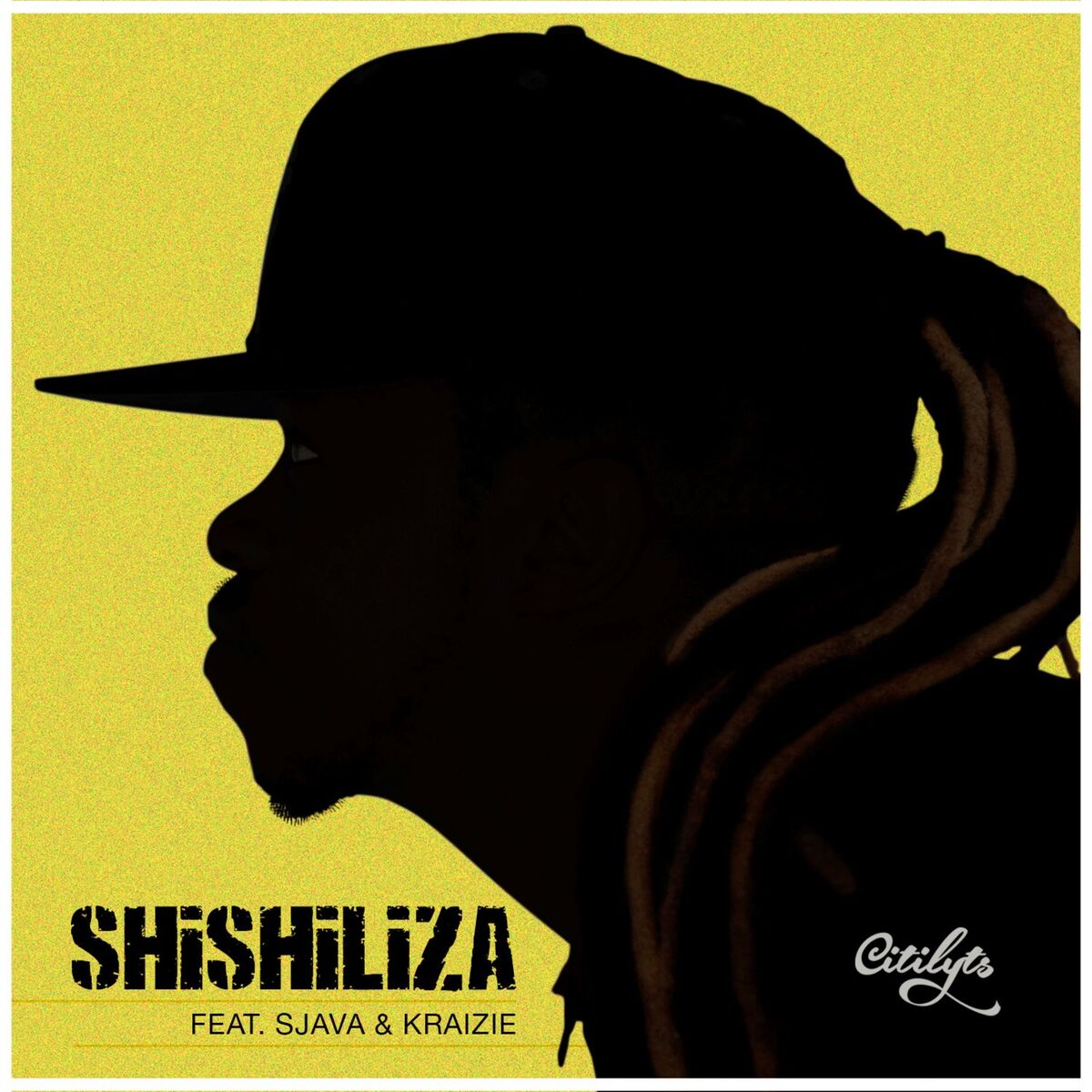 Album cover of Shishiliza
