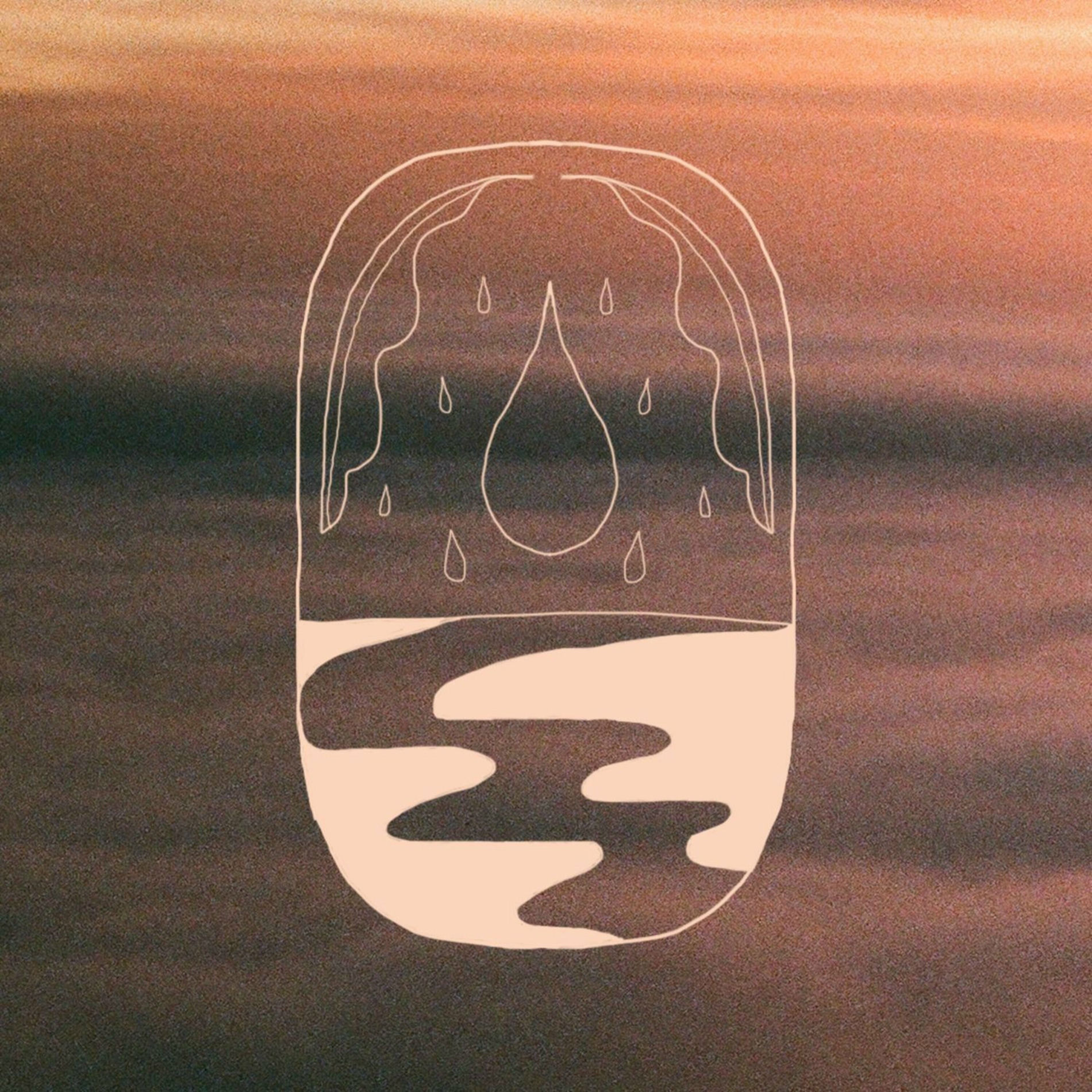 Album cover of Wild Rain